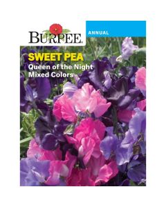 Sweet Pea, Queen of the Night Mixed Colors, Heirloom