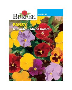 Pansy, Trimardeau Mixed Colors