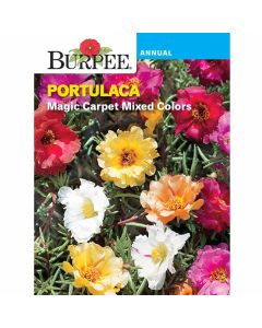 Portulaca, Magic Carpet Mixed Colors