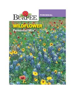 Wildflower, Perennial Mix
