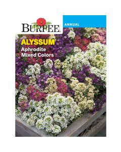 Alyssum, Aphrodite Mixed Colors