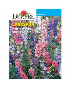 Larkspur, Kaleidoscope Mixed Colors