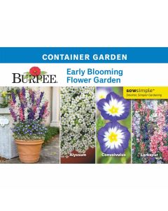 Collection, Container Garden, Early Blooming Flower Garden