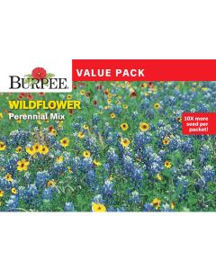 Wildflower, Perennial Mix