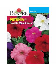 Petunia, Royalty Mixed Colors