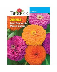 Zinnia, Fruit Smoothie Mixed Colors