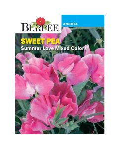 Sweet Pea, Summer Love Mixed Colors