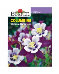 Columbine, William Guinness