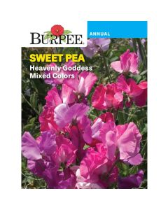 Sweet Pea, Heavenly Goddess Mixed Colors