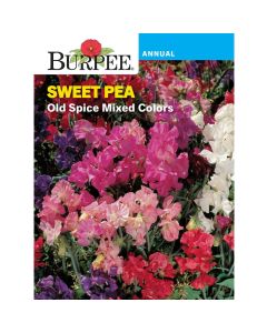 Sweet Pea, Old Spice Mixed Colors