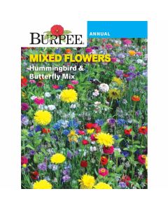 Mixed Flowers, Hummingbird & Butterfly Mix