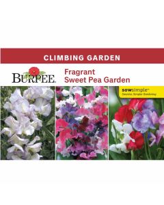 Collection, Climbing Garden, Fragrant Sweet Pea Garden