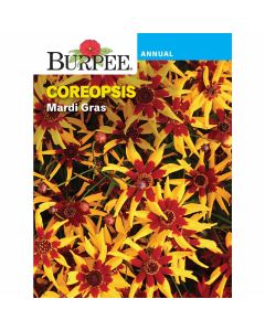 Coreopsis, Mardi Gras