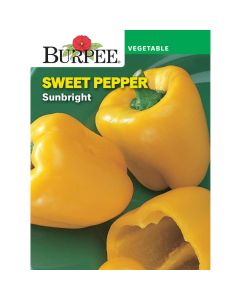 Pepper, Sweet, Sunbright