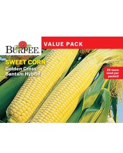 Corn, Sweet, Golden Cross Bantam Hybrid