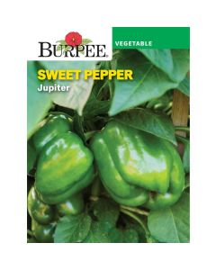 Pepper, Sweet, Jupiter