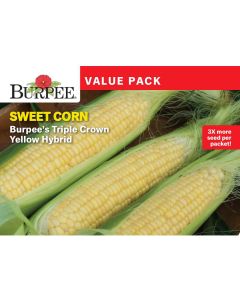 Corn, Sweet, Burpee's Triple Crown Bicolor Hybrid