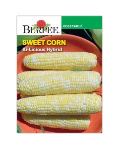 Corn, Sweet, Bi-Licious Hybrid