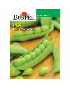 Pea, Early Perfection