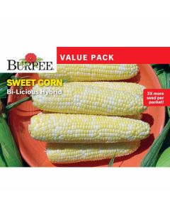 Corn, Sweet, Bi-Licious Hybrid