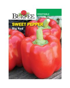 Pepper, Sweet, Big Red