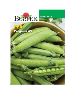 Pea, Shelling, Progress #9 - Value Pack