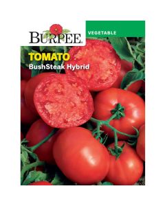 Tomato, BushSteak Hybrid