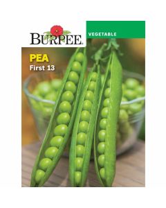 Pea, First 13