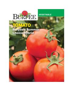 Tomato, Burpee's Summer Choice Hybrid
