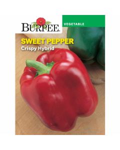 Pepper, Sweet, Crispy Hybrid