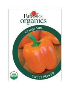 Sweet, Pepper, Orange Sun