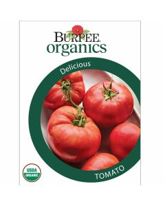 Tomato, Delicious