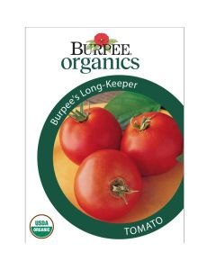 Tomato, Burpee's Long-Keeper
