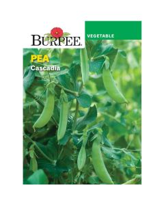 Pea, Cascadia