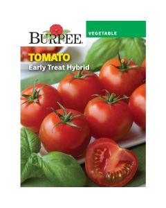 Tomato, Early Treat Hybrid