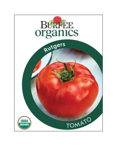 Tomato, Rutgers