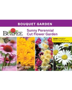 Starter Garden, Sunny Perennial Cut Flower Garden