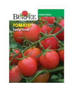 Tomato, Tasty Treat