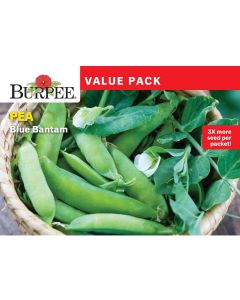 Pea, Blue Bantam, Value Pack