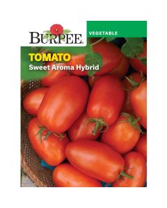 Tomato, Sweet Aroma Hybrid